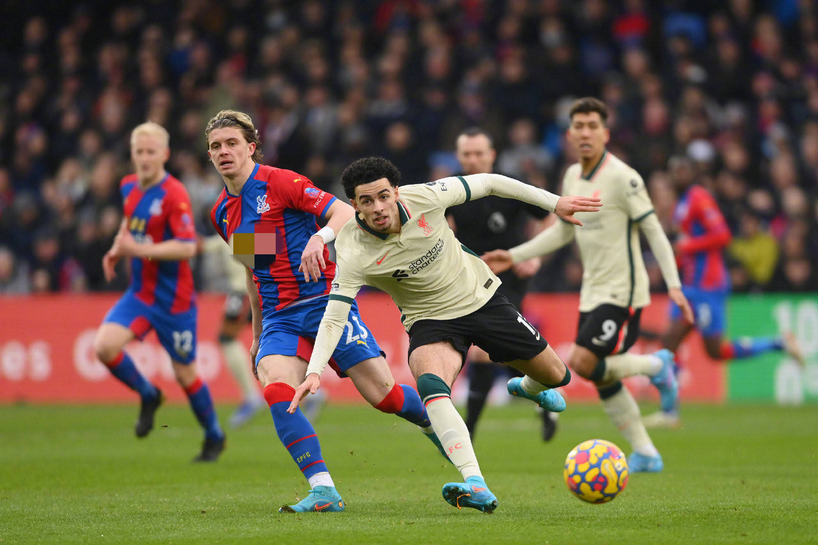 这一数据不 这一数据不